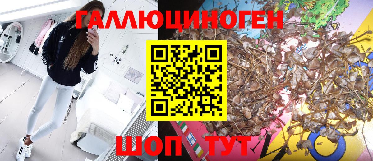 Галлюциногенные грибы Magic Shrooms Коммунар